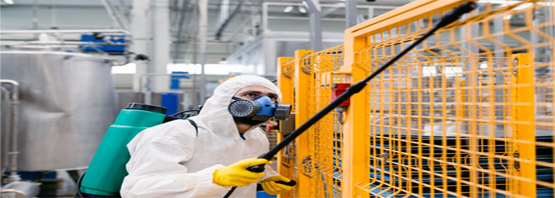 Fumigar cucarachas Madrid